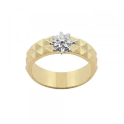 Anillo Aiora Plata Dorada Eguzkilore Plata