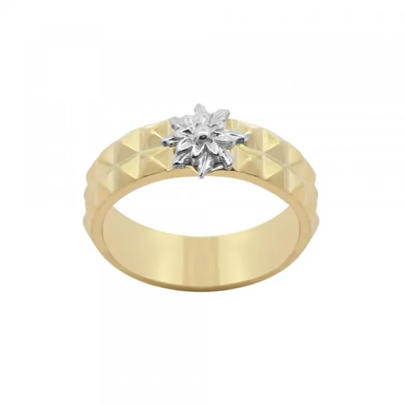 Anillo Aiora Plata Dorada Eguzkilore Plata