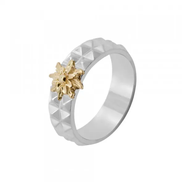 Anillo Aiora Plata Eguzkilore Dorado