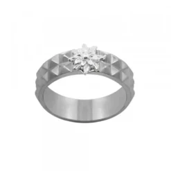 Anillo Aiora Rutenio Eguzkilore Plata