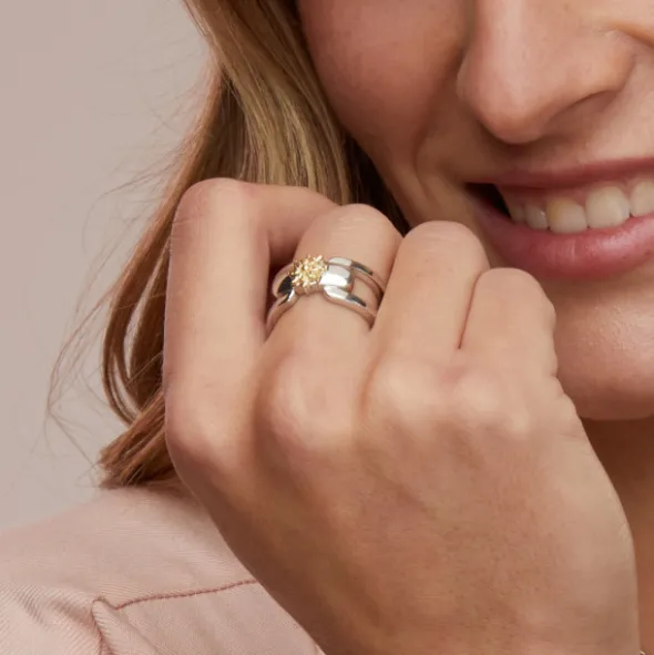Anillo Bayona Plata y Eguzkilore Dorado