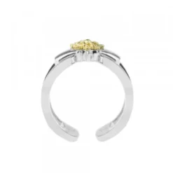 Anillo Bayona Plata y Eguzkilore Dorado