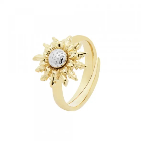 Anillo Eguzkilore de Plata Dorada Bicolor