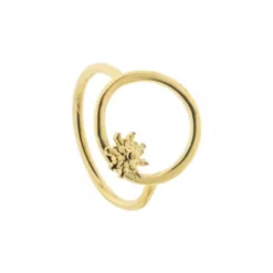 Anillo Luna Llena Plata Dorada para Mujer