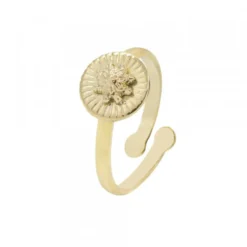 Anillo Radial Plata Dorada