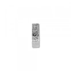 Anillo Zazpiak Bat de Plata