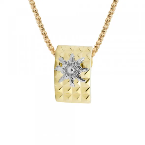 Colgante Aiora de Plata Dorada