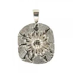 Colgante Eguzkilore Chapa Plata 31mm