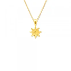 Colgante Eguzkilore Plata Dorada 9mm
