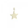 Colgante Estrella de Plata Dorada