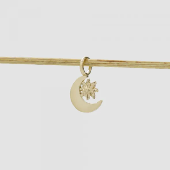 Colgante Luna y Eguzkilore Plata Dorada