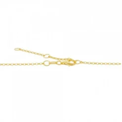 Collar Ama de Plata Dorada
