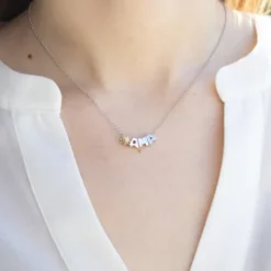 Gargantilla Ama Iniciales de Plata
