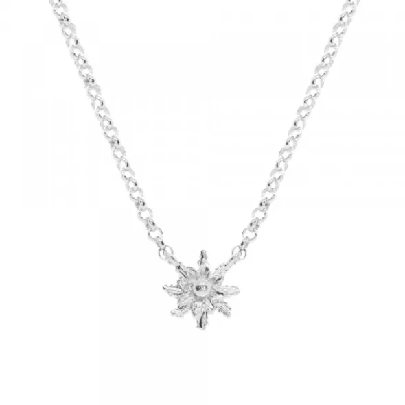 Gargantilla Eguzkilore Plata 8mm