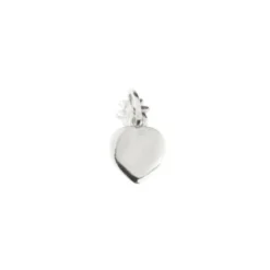 Mini Colgante Corazón y Eguzkilore Plata