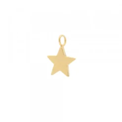 Pack Colgante y Pendientes Estrella de Plata Dorada