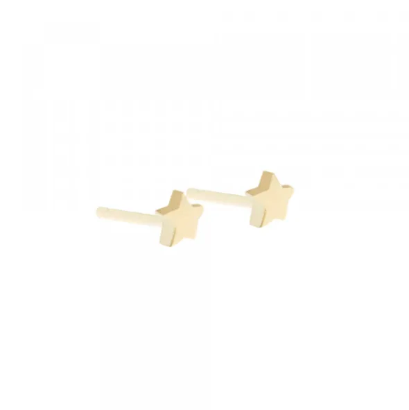 Pack Piercings Estrella Plata 4 Uds
