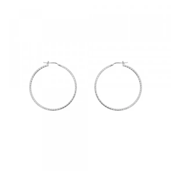 Pendientes Aro Entorchado Plata 20mm