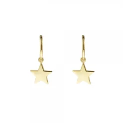Pendientes Aro Estrella de Plata Dorada