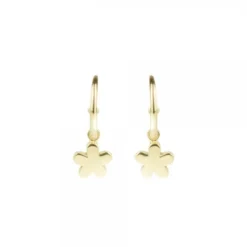 Pendientes Aro Flor de Plata Dorada