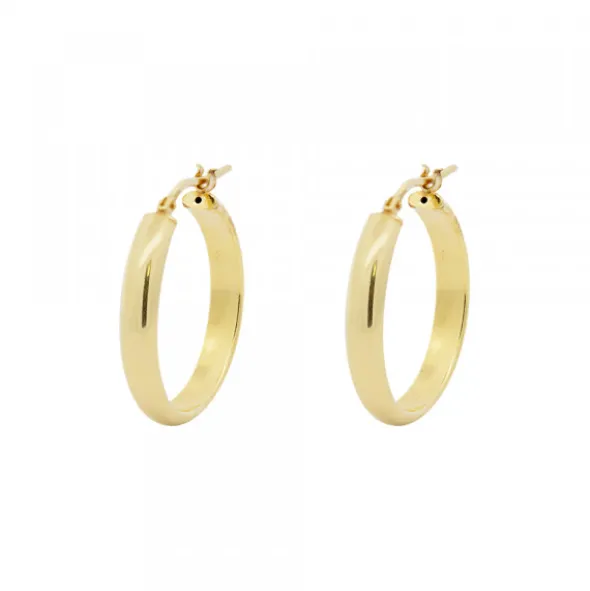 Pendientes Aros Plata Dorada 24mm