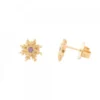 Pendientes Basic Colors Plata Dorada y Amatista