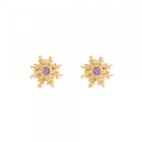 Pendientes Basic Colors Plata Dorada y Amatista