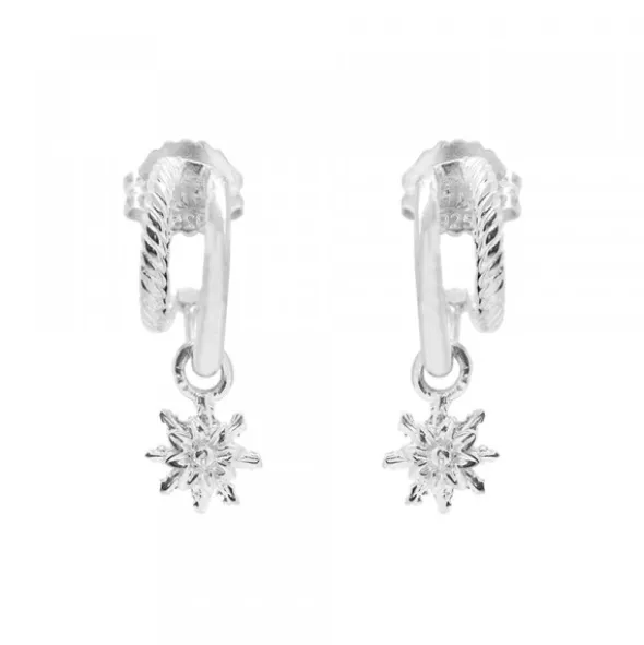 Pendientes Biarritz Plata