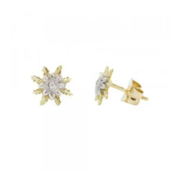 Pendientes Eguzkilore Oro Bicolor y Brillante 9mm