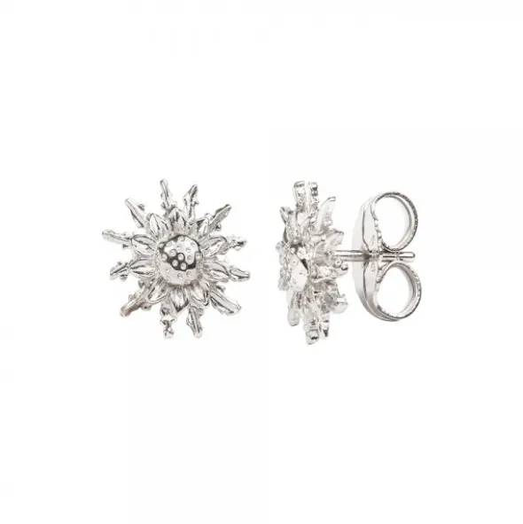 Pendientes Eguzkilore Plata 14mm