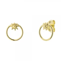 Pendientes Luna Llena Plata Dorada