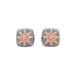 Pendientes Q2 Plata Negra y Eguzkilore Rosa