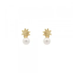 Pendientes Tú y Yo Plata Dorada y Perla 5mm