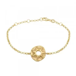 Pulsera Chapa Etrusca Mountain Plata Dorada